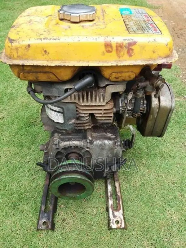 Robin Engine - EY 20