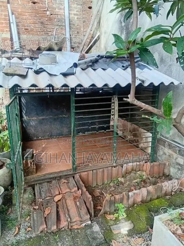 Dog Cage
