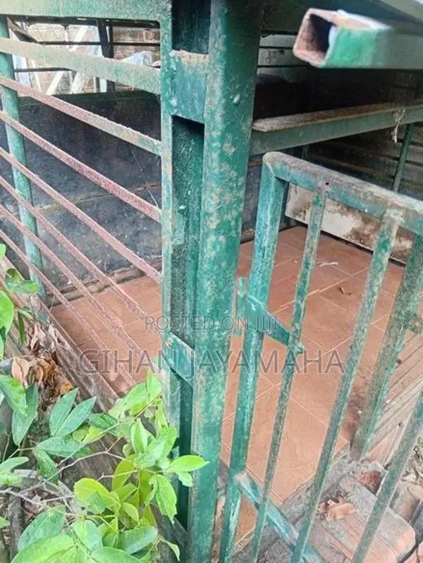 Dog Cage