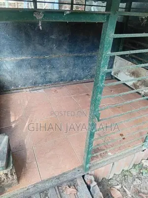 Dog Cage