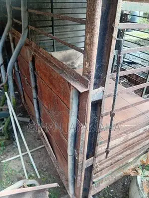 Dog Cage