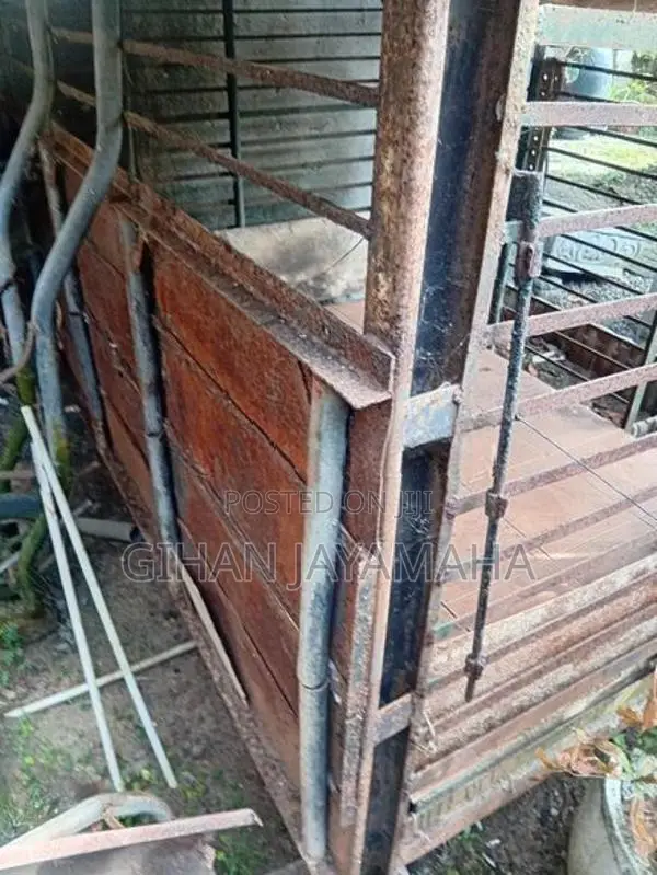 Dog Cage