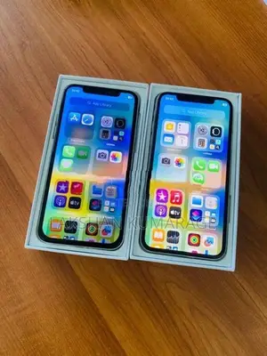 Apple iPhone X 256GB (Used)