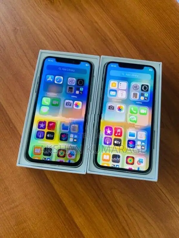 Apple iPhone X 256GB (Used)