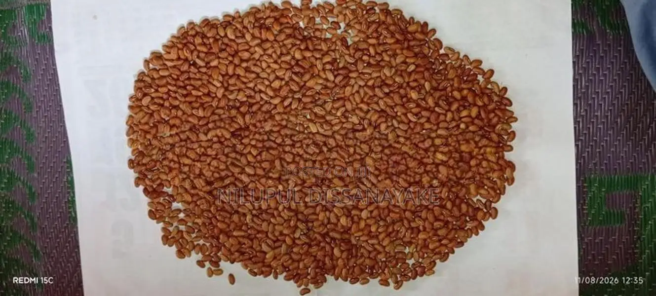 බෝංචි මෑ බීජ