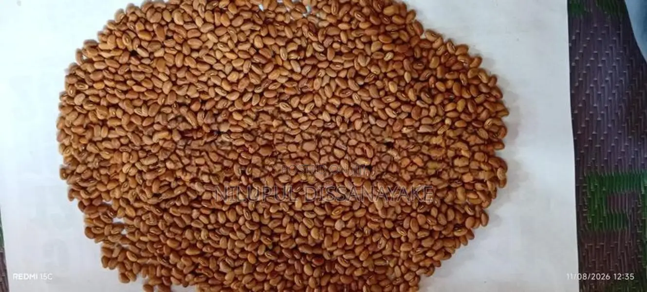 බෝංචි මෑ බීජ