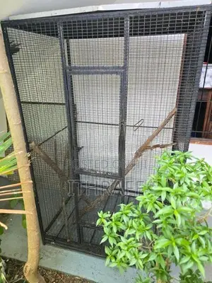 Parrot Cage