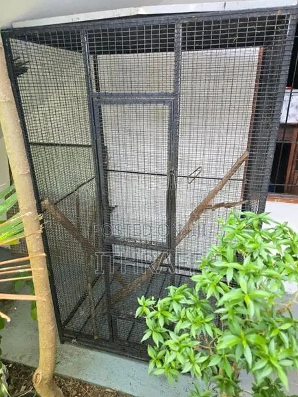 Parrot Cage