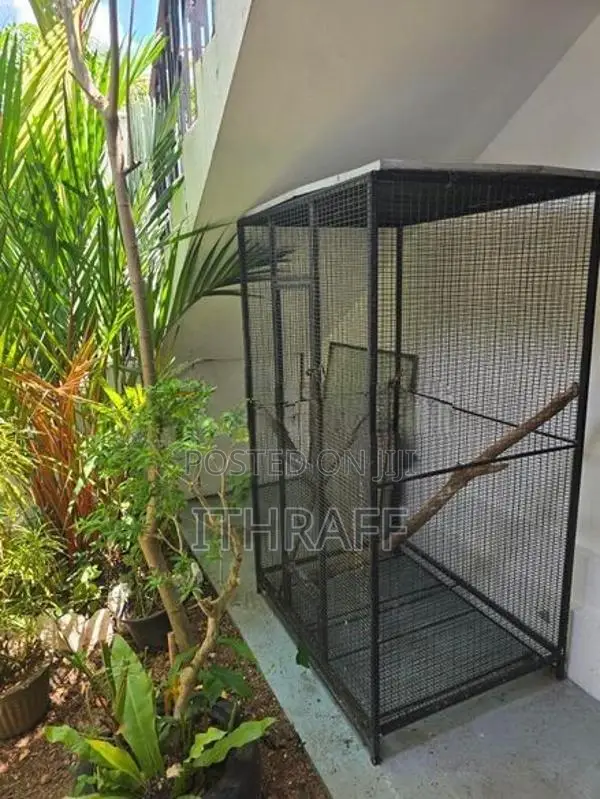 Parrot Cage