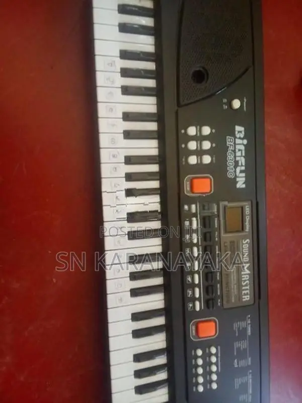 Electronic Organ