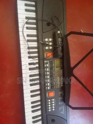 Electronic Organ