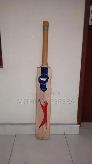 Cricket Leather Bat