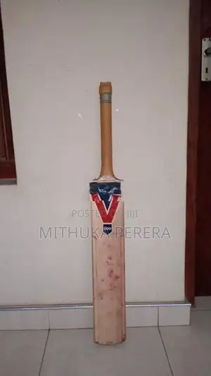 Cricket Leather Bat
