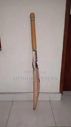 Cricket Leather Bat