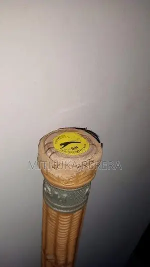 Cricket Leather Bat