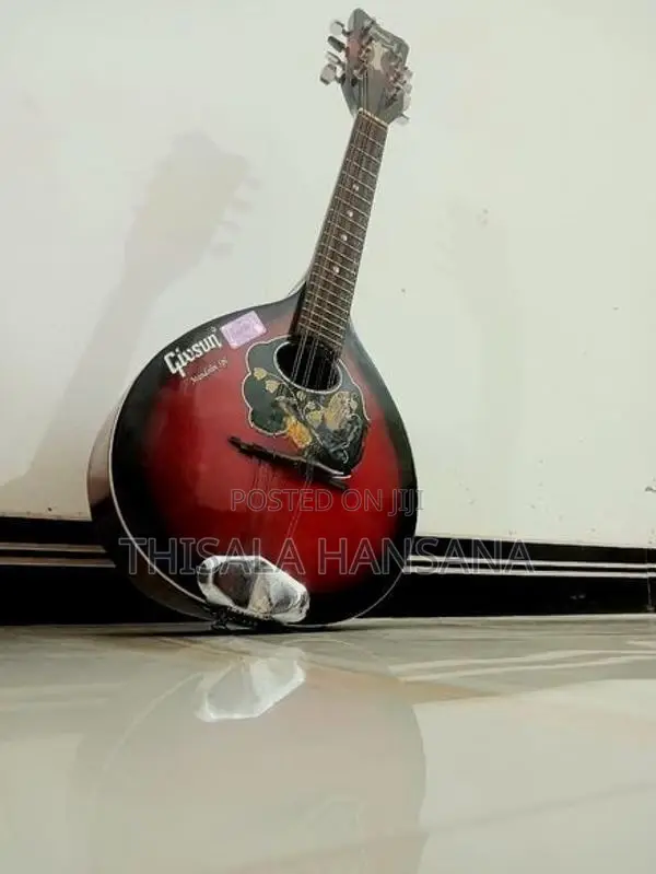 Givson Mandolin (Amplifier)