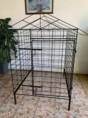 Steel Dog Cage