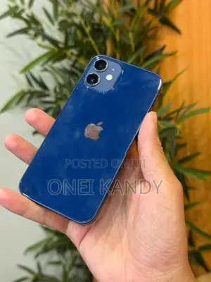 Apple iPhone 12 mini 256GB (Used)