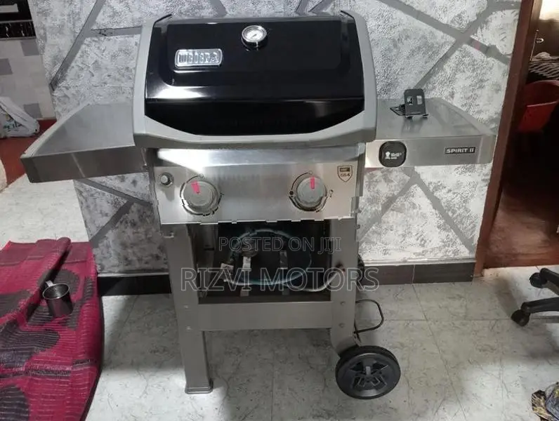 Weber Spirit 2