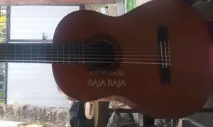 Guitar