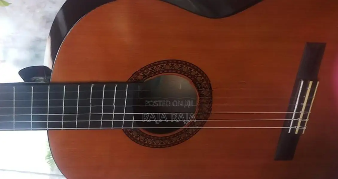 Guitar