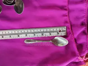 Stainless Steel Dessert Spoon