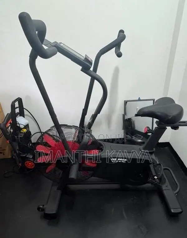 Eser Air Bike