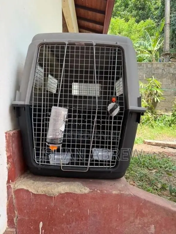 Dog Carrier