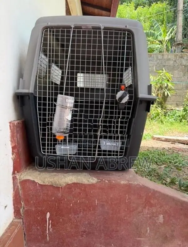 Dog Carrier