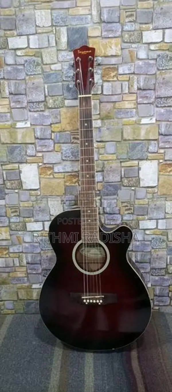 Toyama Japan Acoustic Electric Guitar IJT0201CE WRS