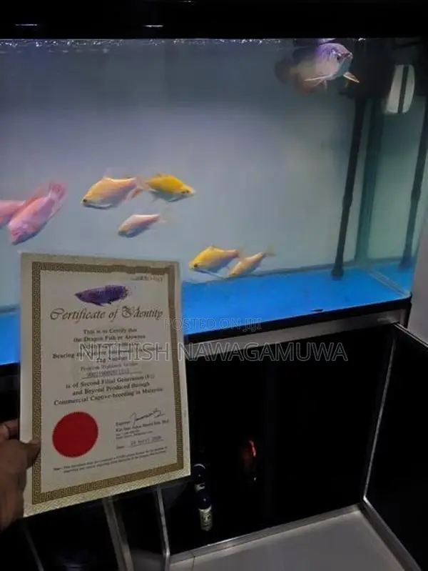 Aluminium Fish Tank