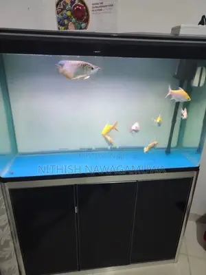 Aluminium Fish Tank