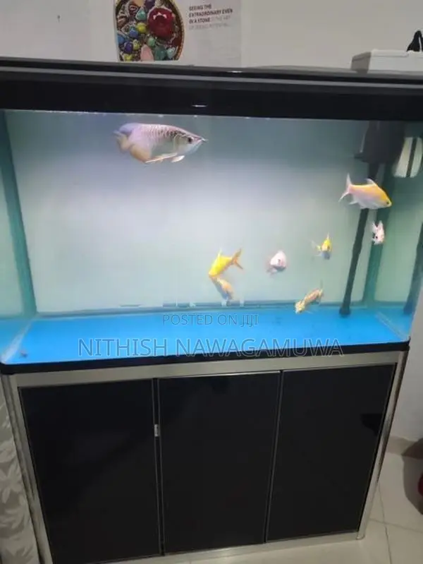 Aluminium Fish Tank