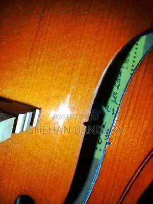 Super Lark Violin