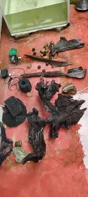 Drift Wood With Oxygen Filter Heads