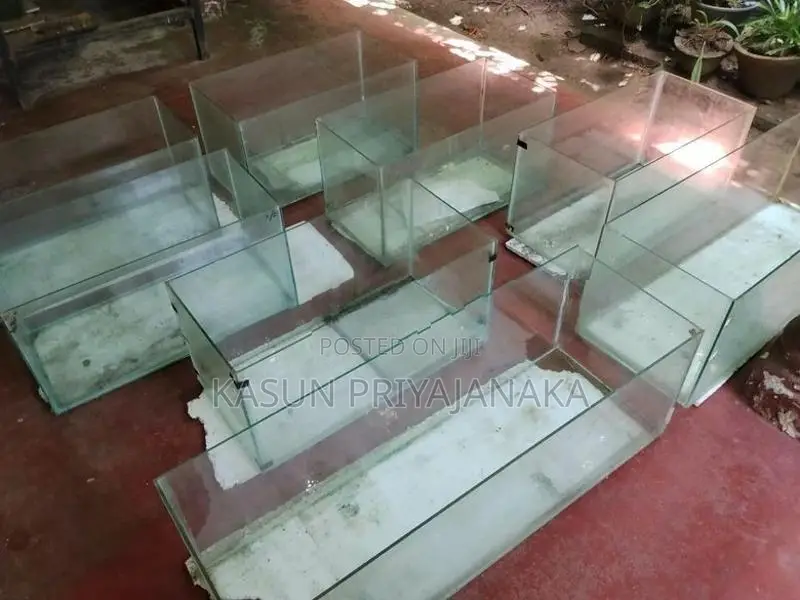 Fish Tank