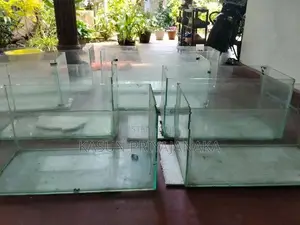 Fish Tank