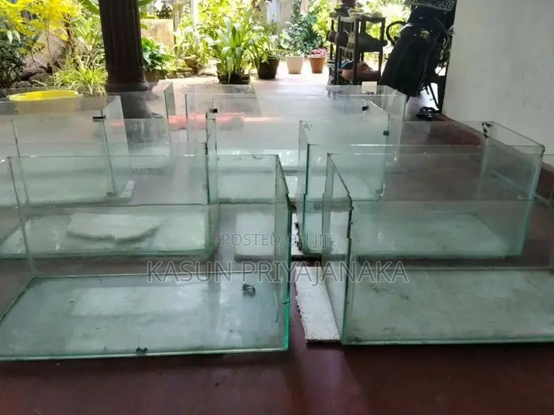 Fish Tank