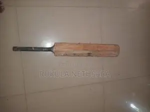 Cricket Bat