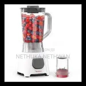 Moulinex Blendeo Blender