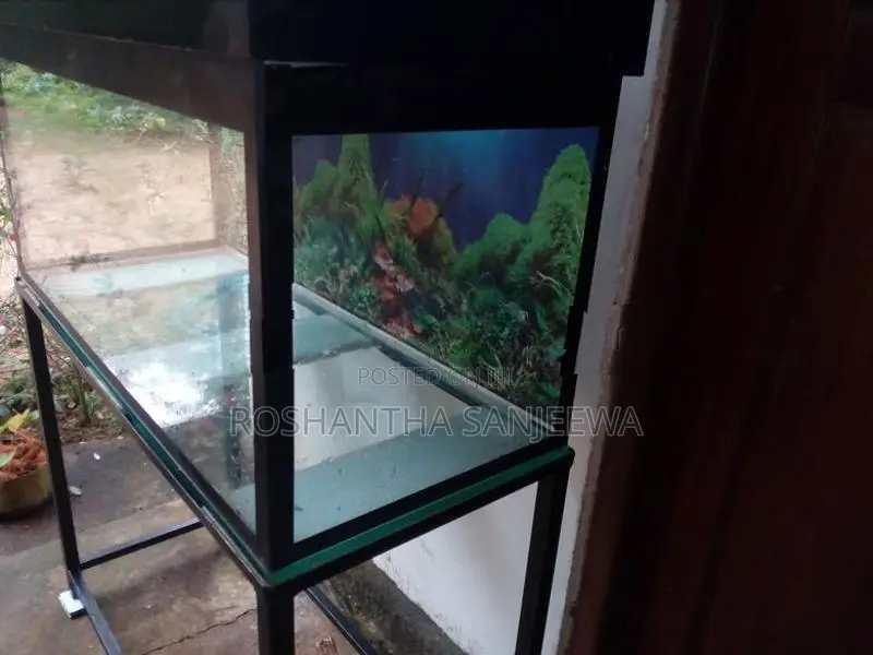 Fish Tank