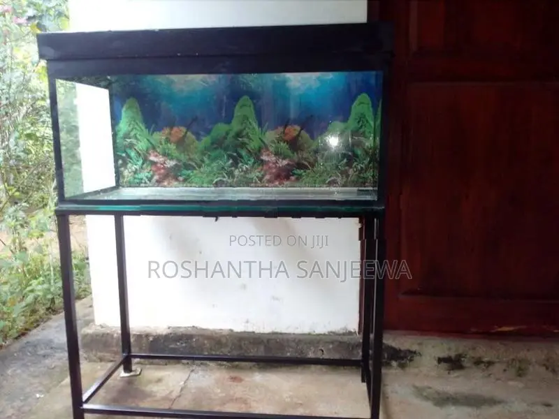 Fish Tank