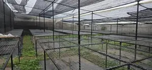 නෙට් හවුස් එකක්