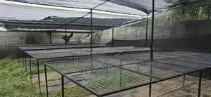 නෙට් හවුස් එකක්