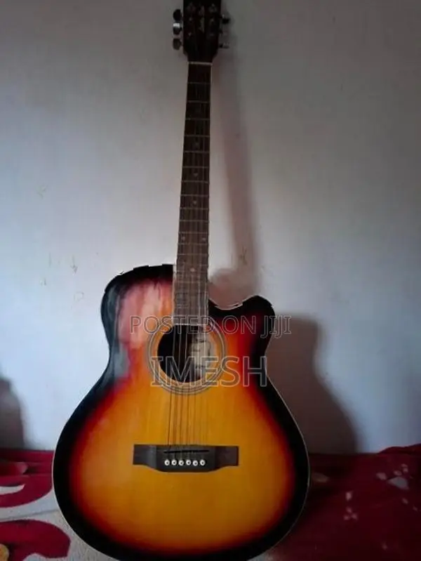 Semi Acoustic Guitar