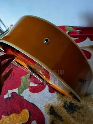 Semi Acoustic Guitar