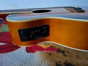 Semi Acoustic Guitar
