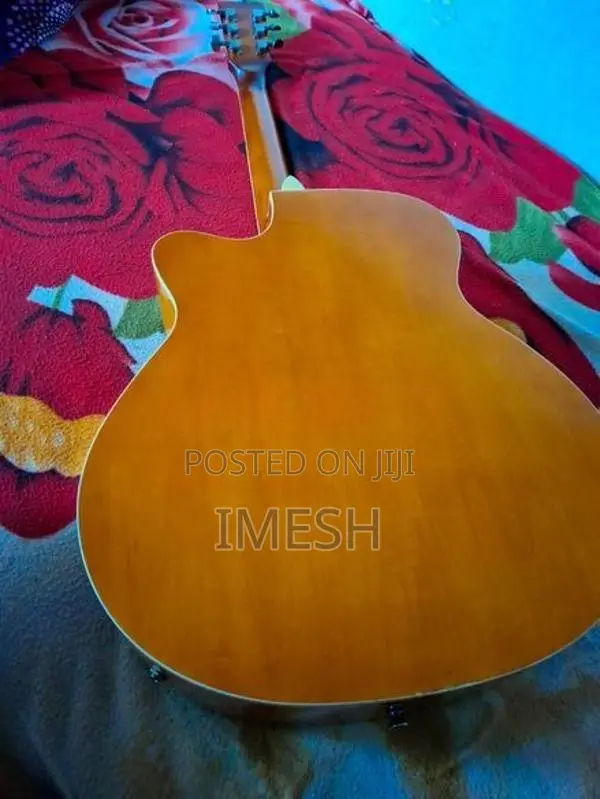Semi Acoustic Guitar
