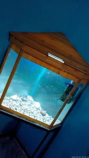 Fish tank