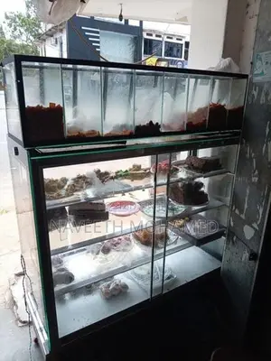 Show Case